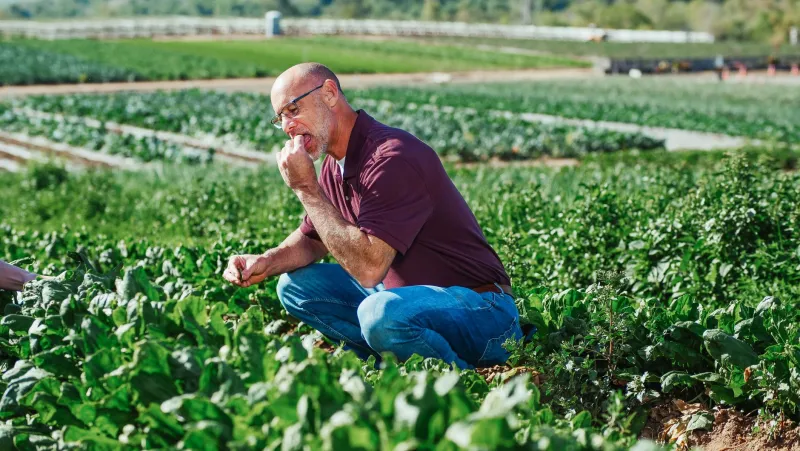 Cooking on Borrowed Ground: How Miami Chefs Are Adapting to a Florida That's Changing Fast