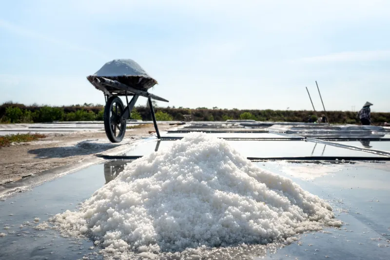 Pinch by Pinch: The Florida Salt Harvesters Quietly Changing How Miami Cooks