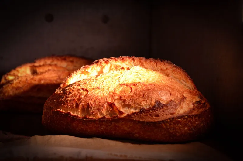Flour, Flame, and Patience: How Miami's Bakers Are Burning Down the Industrial Bread Playbook