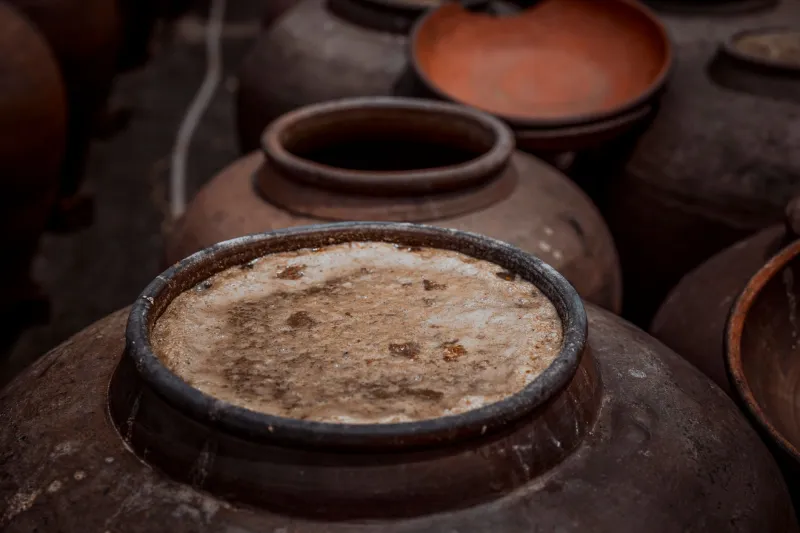 Grains, Brine, and Time: The Miami Families Who Never Needed a Refrigerator