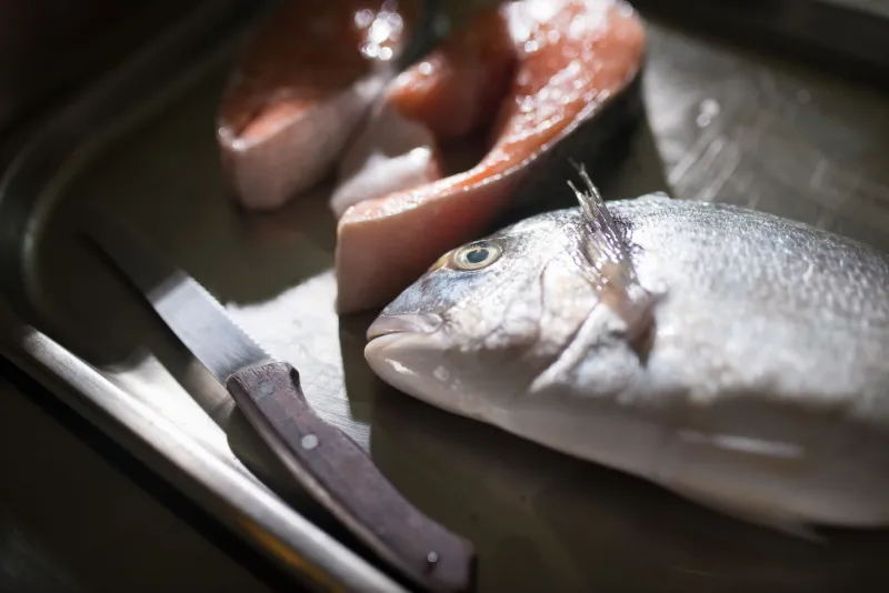 Gulf Water, Mediterranean Soul: How Miami's Italian and Greek Chefs Are Falling in Love with Florida Fish