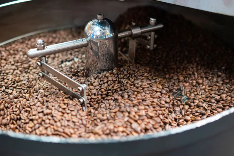 Old Roots, New Cups: Miami's Latin Roasters Are Bringing Back the Beans Nobody Wanted